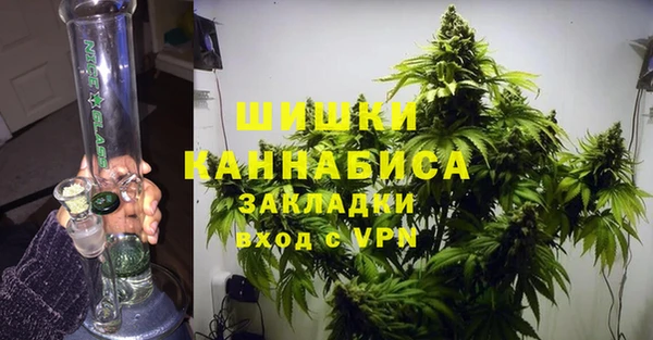 PSILOCYBIN Алексеевка