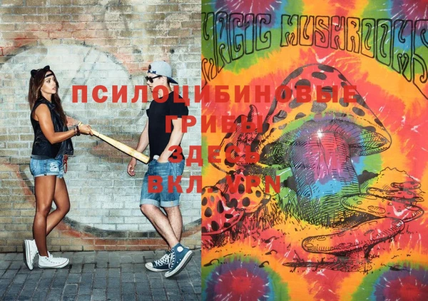 PSILOCYBIN Алексеевка
