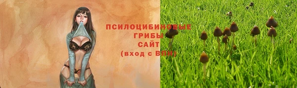 экстази Алзамай