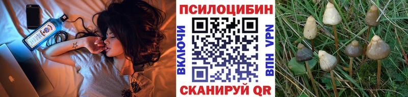 Галлюциногенные грибы ЛСД  kraken вход  Красноармейск 