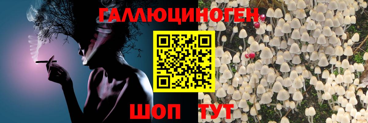 Красноармейск  Псилоцибиновые грибы мицелий  Вход с VPN 