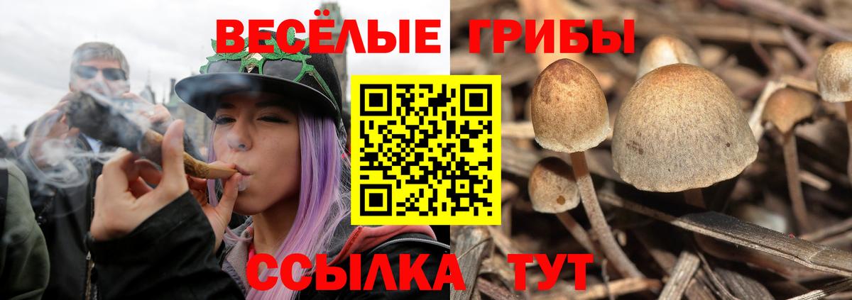 Галлюциногенные грибы ЛСД Красноармейск